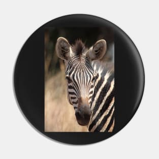 Plains Zebra Portrait #2, Akagera National Park, Rwanda. Pin