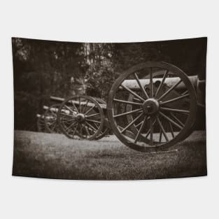 Cannon Placement Black and White Tapestry