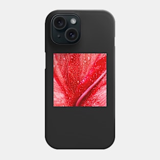 Rain on a Red Calla Lily Phone Case