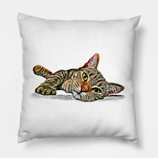 Shelter Cat #7 Pillow