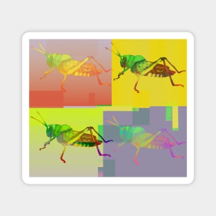 Colorful Grasshoppers Magnet