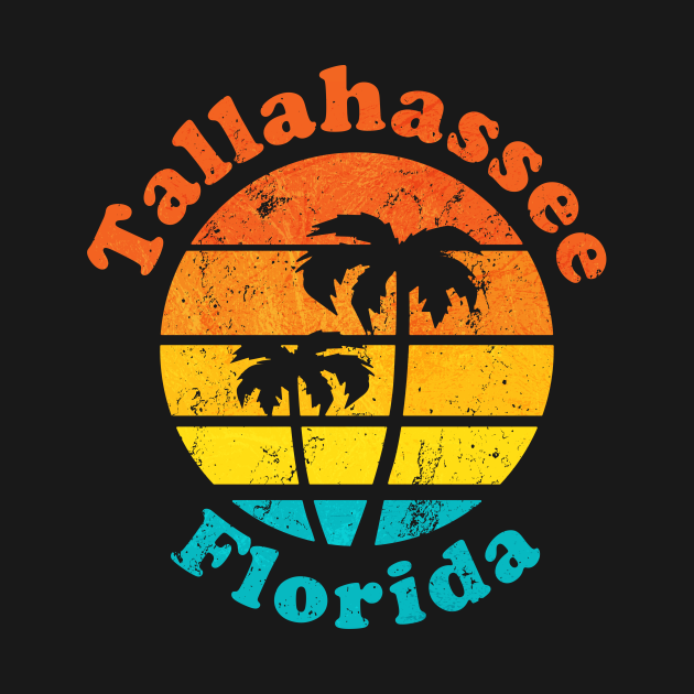 Discover Tallahassee Florida - Tallahassee - T-Shirt