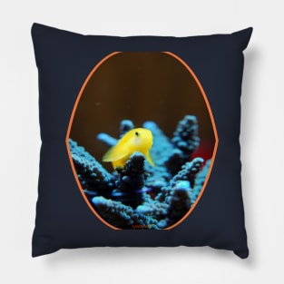 fish, cute fish, free fish, coral fish, fish coral, goldfish, pez, peces, pez colar, peces coral Pillow