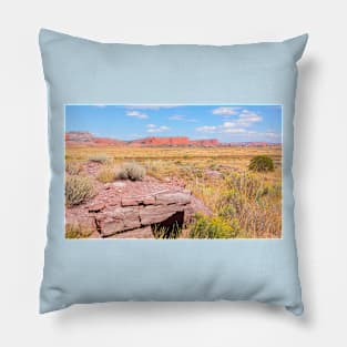 Landform of American desert. Pillow