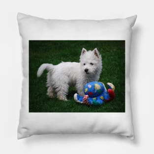 Westie puppy Pillow