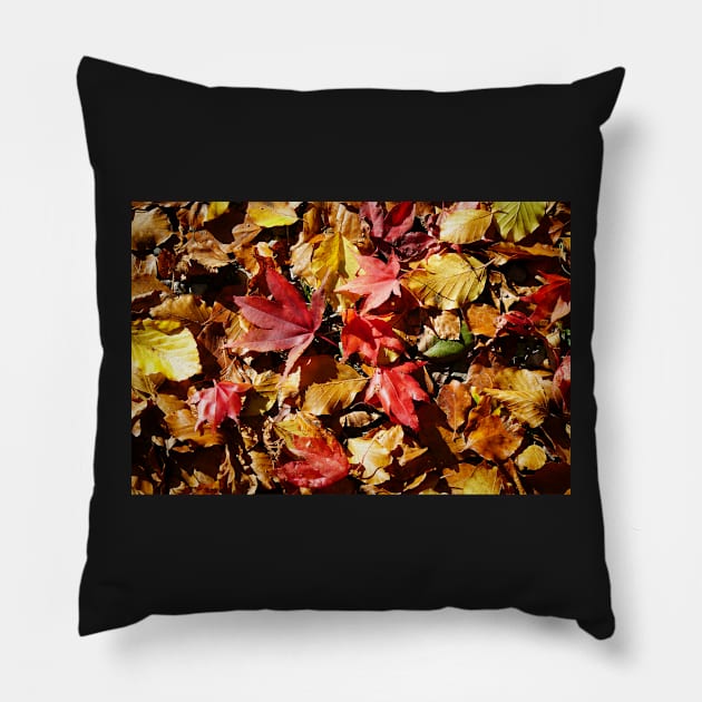 Colorful Fallen Autumn Leaves 1 - Seasons - Nature Abstract Pillow by Harmony-Mind