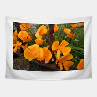 California Poppies behind bars Tapestry