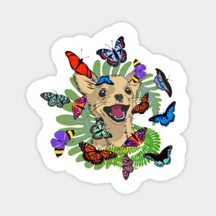 happy puppy and butterflies Magnet