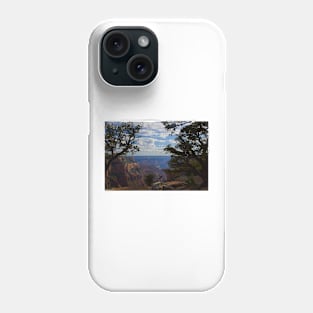 WGC_4421 Phone Case