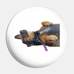 dog sticker Pin