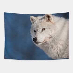 Arctic Wolf Tapestry