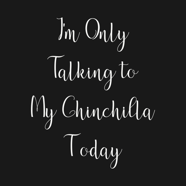 I'm Only Talking to My Chinchilla Today by DANPUBLIC