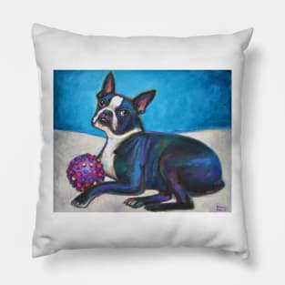 Boston Terrier with Toy Pillow