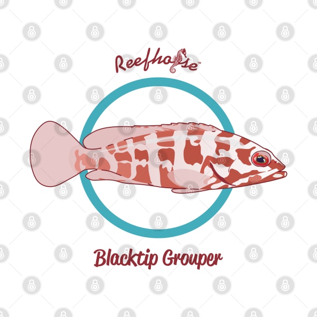 Blacktip Grouper by Reefhorse