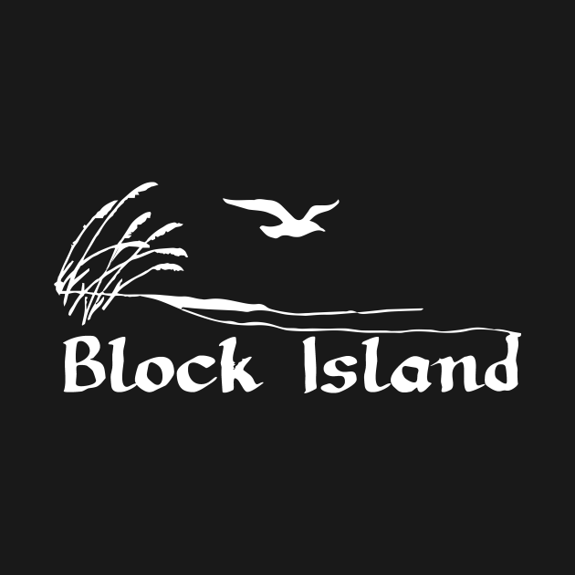 Discover Block Island - Cool - T-Shirt