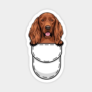 Funny Irish Setter Pocket Dog Magnet