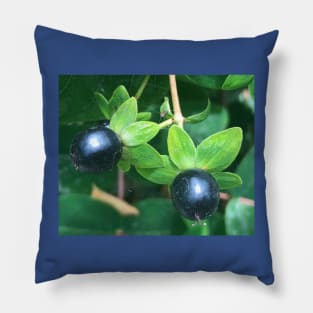 Teeny Tiny Berries Pillow