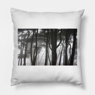 Looking Down to the Ocean. The End of Clement Street, San Francisco 2012 Pillow