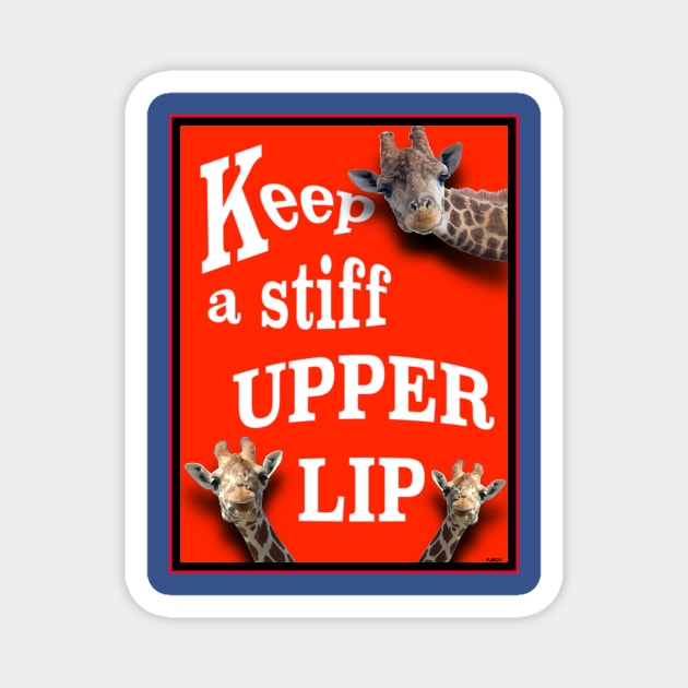 CHEER UP! FEEL BETTER! CARRY ON! KEEP CALM! Magnet by PETER J. KETCHUM ART SHOP