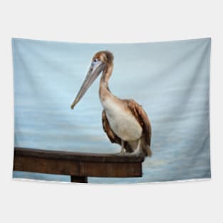 Pelican Tapestry