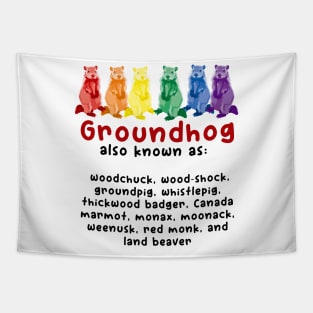 A Rainbow Groundhog By Any Other Name Tapestry