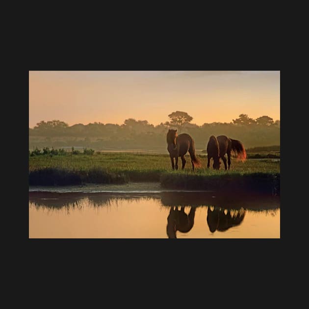 Wild Horse Pair Grazing At Assateague Island National Seashore by AinisticGina