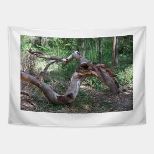 Fallen Limb Tapestry