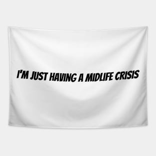 I'm just having a midlife crisis Tapestry