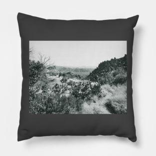Desert Landscape Pillow