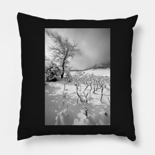 Snow Dancer Pillow