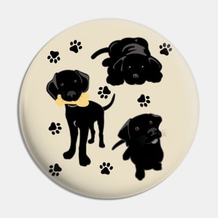 Three Black Lab Puppies Pin