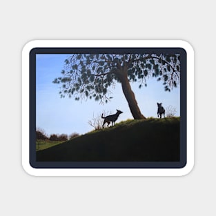 cone tree on hillside with dogs playing Magnet