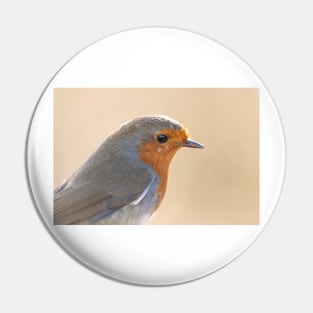 Robin with white feather Pin