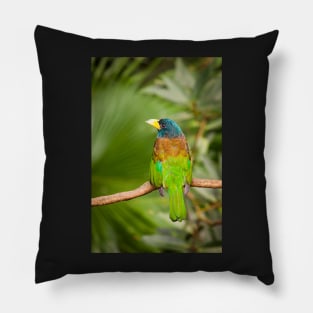 Exotic colorful bird Pillow