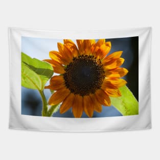 Sunflower Series VII Tapestry