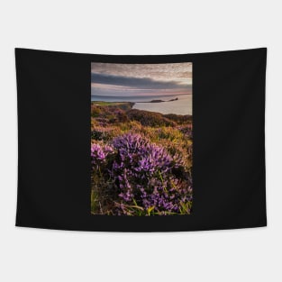 Worms Head and Rhossili Bay from Rhossili Down, Gower, Wales Tapestry