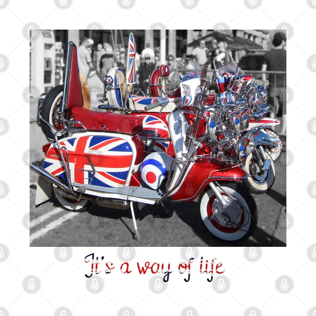 We are the mods by Grant's Pics