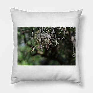 Spring is in the Air - Northern Beardless Tyrannulets Pillow