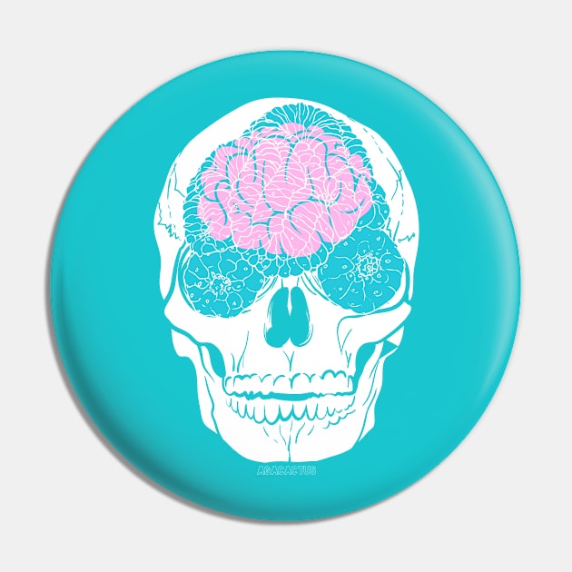 Lopho in the Brain! Pin by AgaCactus