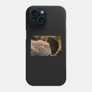 Gobble Rock Cave Phone Case