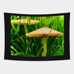 Mushroom Photography Print #5 Tapestry