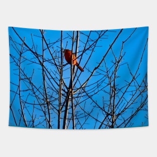 Red Cardinal in a bare Tree Tapestry