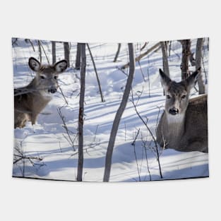 White Tailed Deer Tapestry