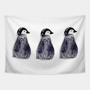 3 baby penguins Tapestry