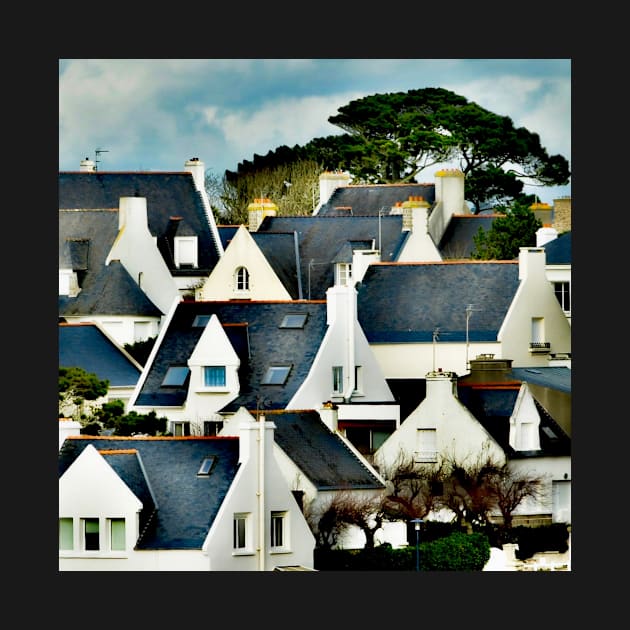 Conquet roofs by rollier