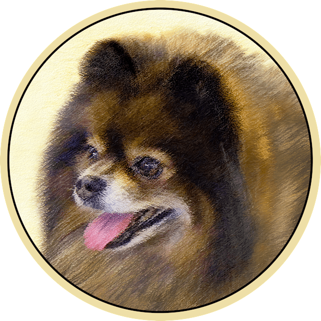 Pomeranian (Black and Tan) Kids T-Shirt by Alpen Designs