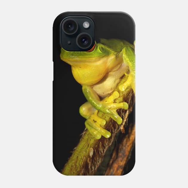 Tree Frog Phone Case by wanungara