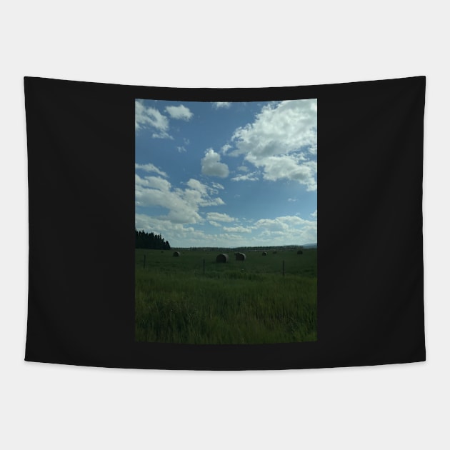 Rolls of Hay near Canadian & USA Border Tapestry by Sparkleweather