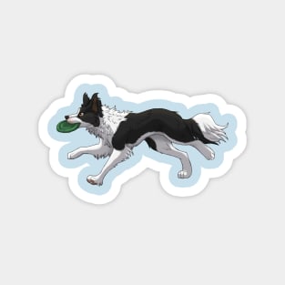 Running Black Border Collie with Frisbee Magnet