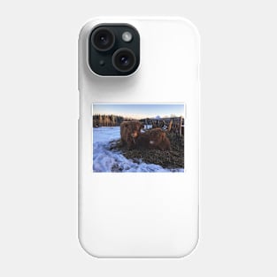 Scottish Highland Cattle Cow and Calf 1642 Phone Case